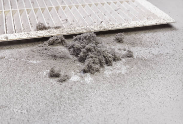Best Air Vent Cleaning Services  in Kingstree, SC