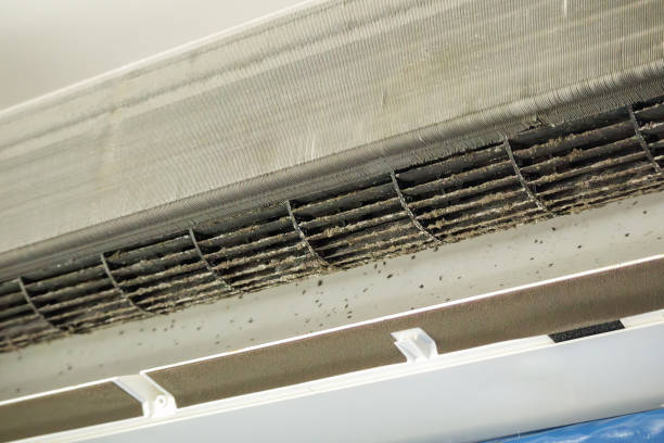Best Air Duct Cleaning Near Me  in Kingstree, SC